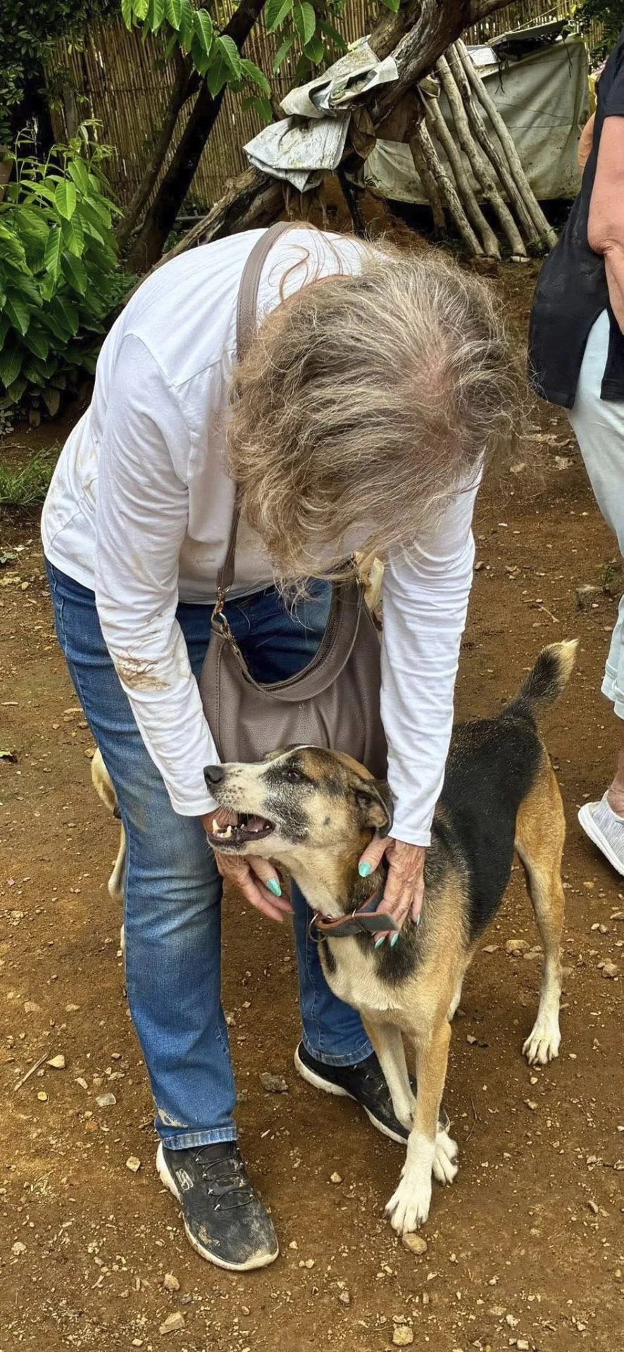 Person bending down to gently hold and greet a happy tan and black shelter dog on a dirt path at the Coron Animal Shelter in the Philippines.