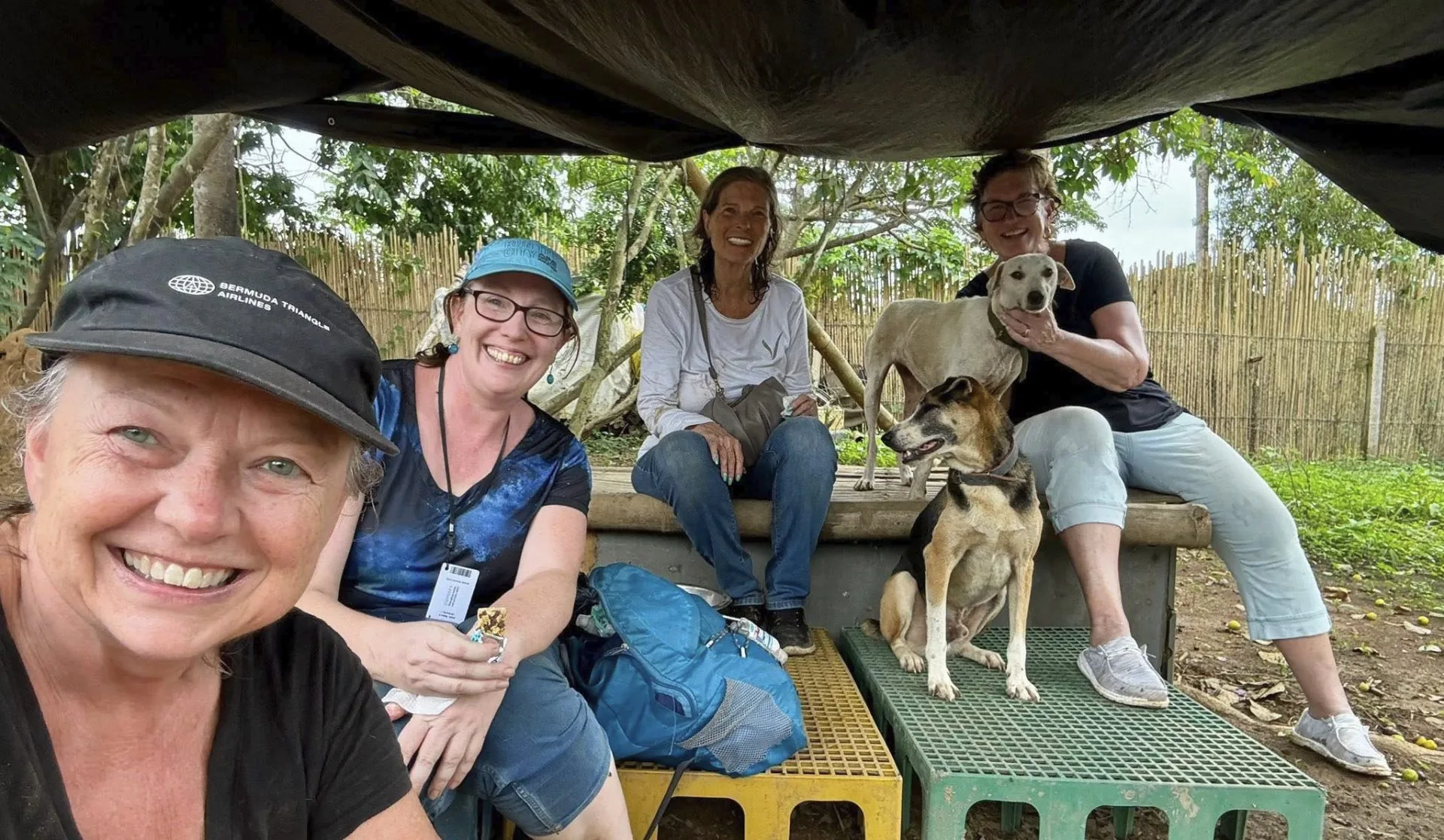 Four smiling women volunteers sitting under a shade tarp with two friendly shelter dogs at the Coron Animal Shelter in the Philippines.