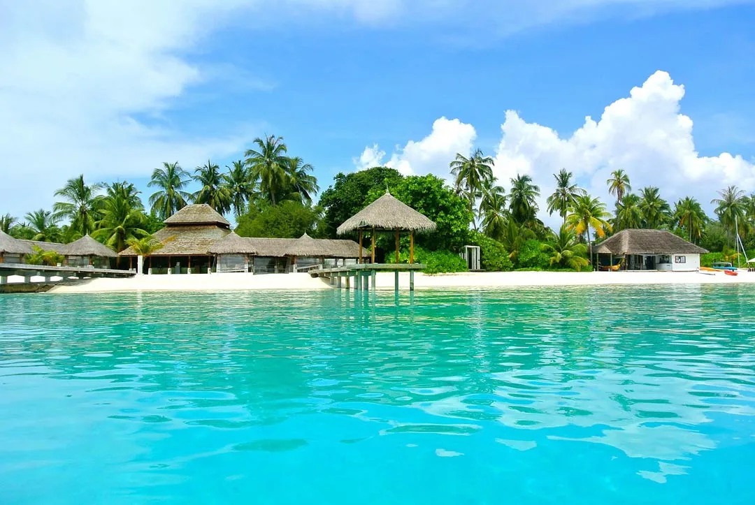 The Maldives shot from the crystal clear waters to the shore.