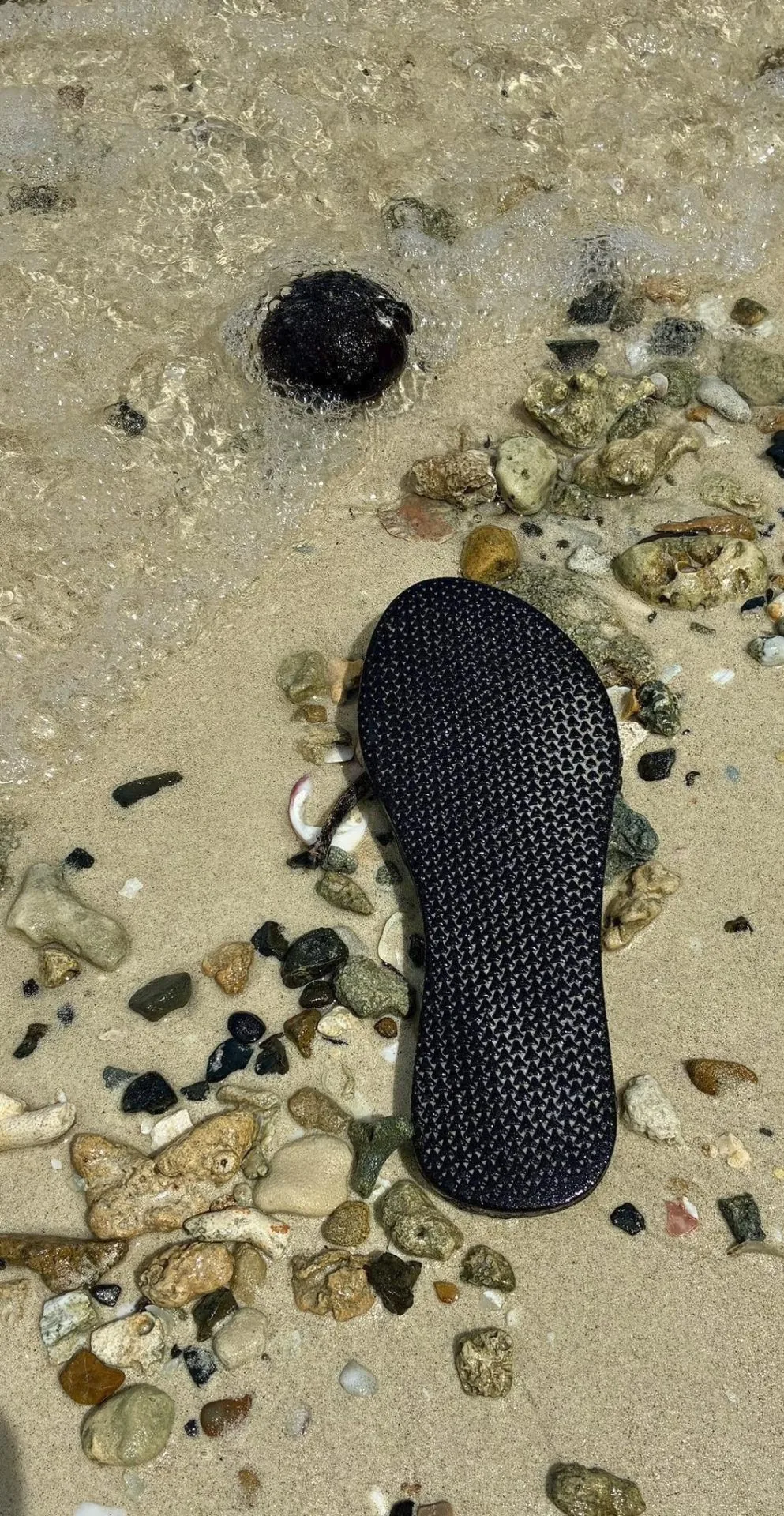 Single black textured sandal sole lying on wet sand surrounded by colorful pebbles, coral, and shells at the water's edge on Tenggiling Island, Indonesia.