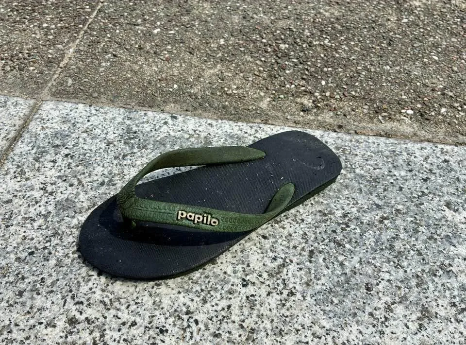 Worn black and green Papilo flip-flop sandal resting on a speckled granite curb beside pavement on Tioman Island, Malaysia.